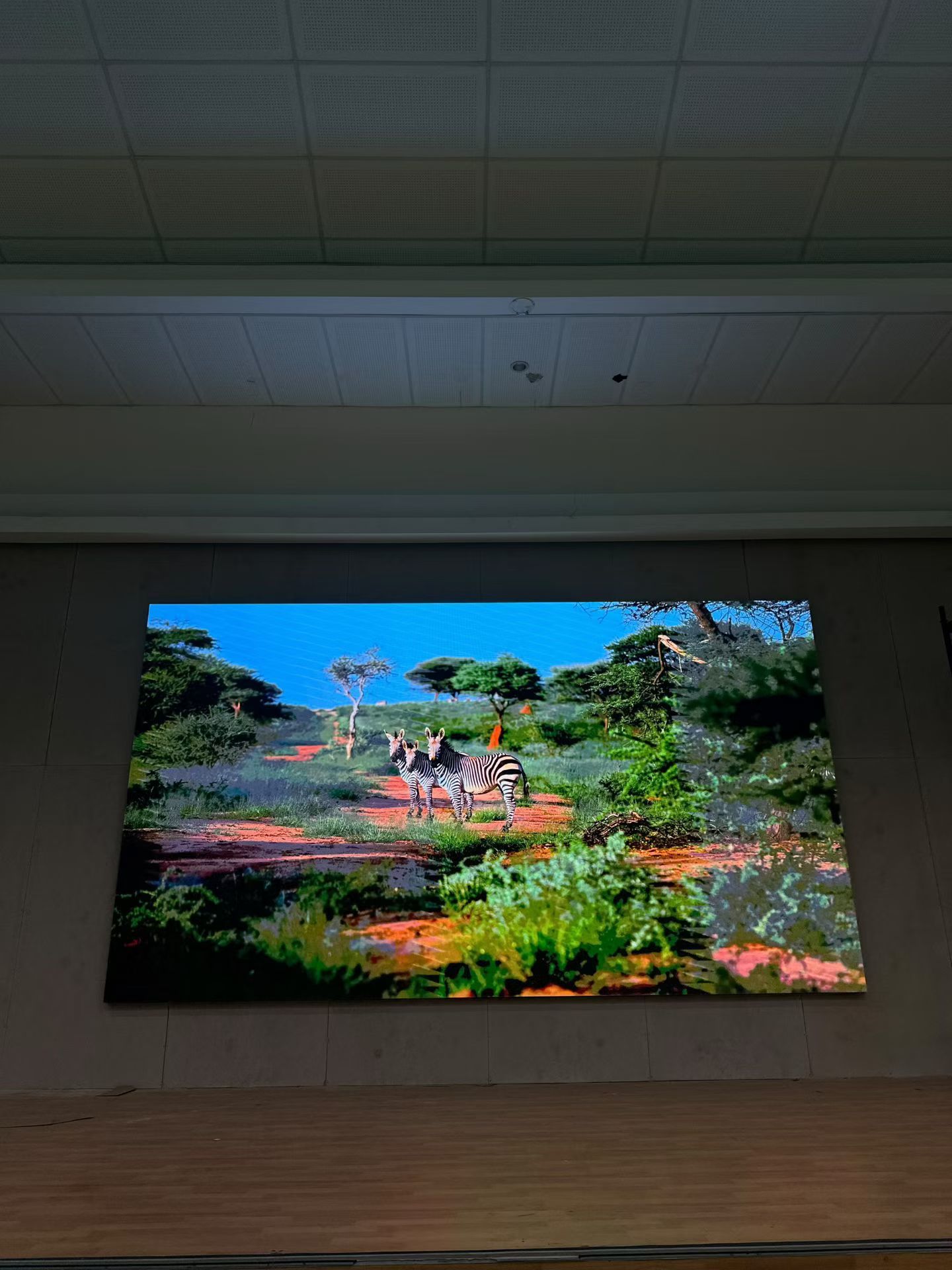 Latest company case about October Edition: Case Studies of Indoor P1.86 and P2.5 LED Displays for Conference Rooms